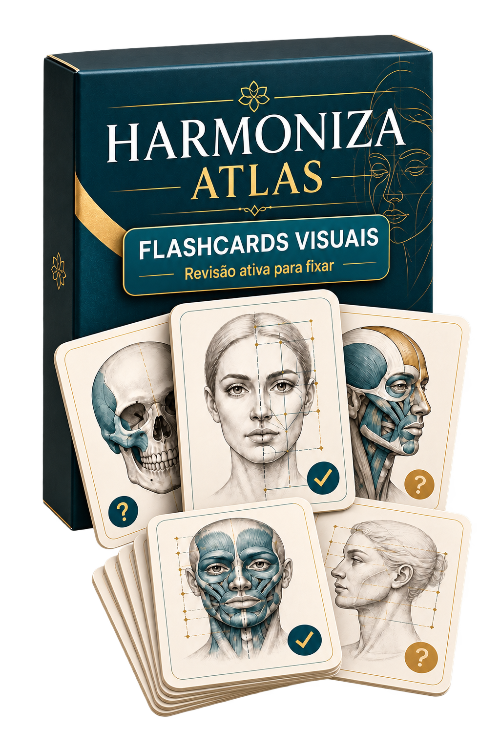 Mockup físico dos flashcards visuais de harmonização facial