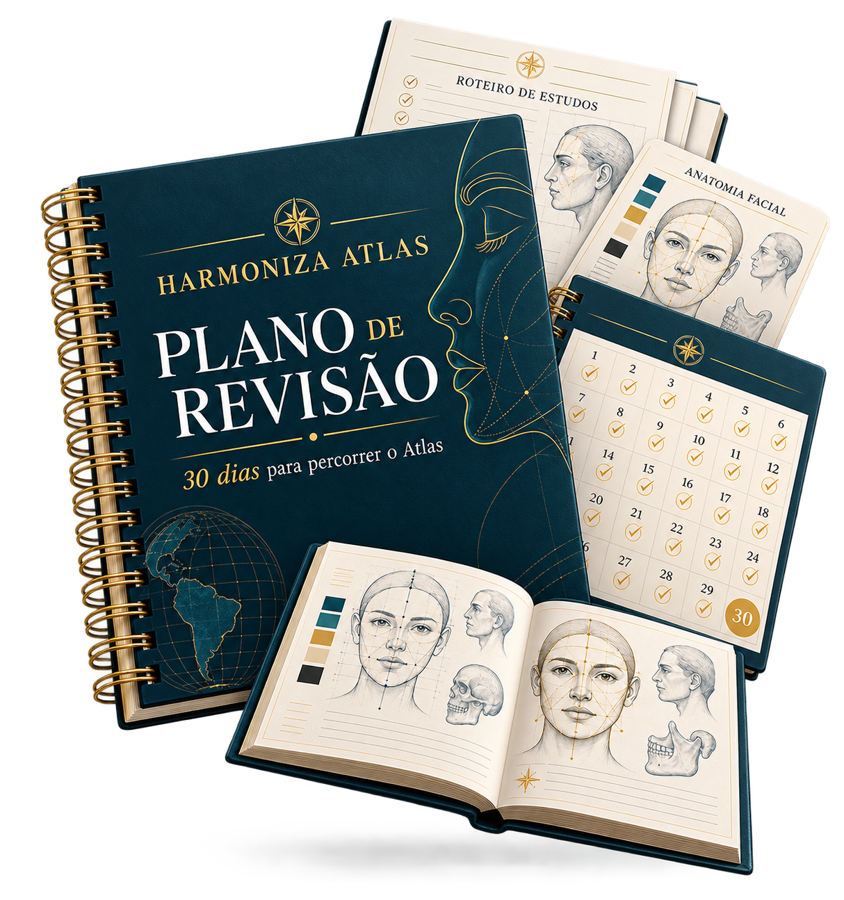 Mockup físico do plano de revisão em 30 dias