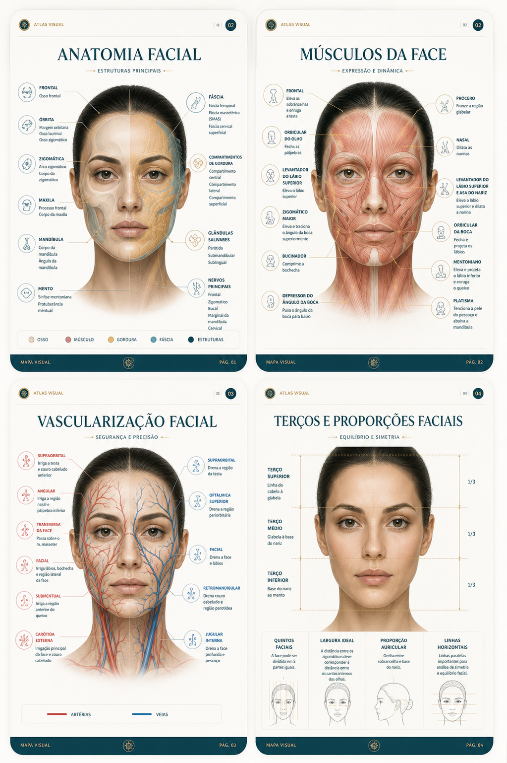 Prévia de quatro páginas internas do Harmoniza Atlas sobre anatomia, músculos, vascularização e proporções faciais